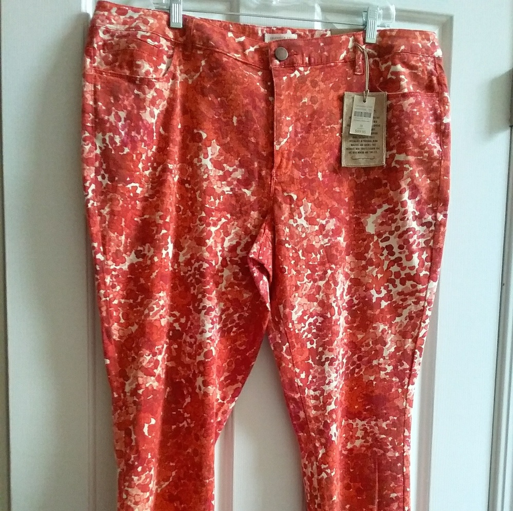 Cold water Creek Brand Jeans